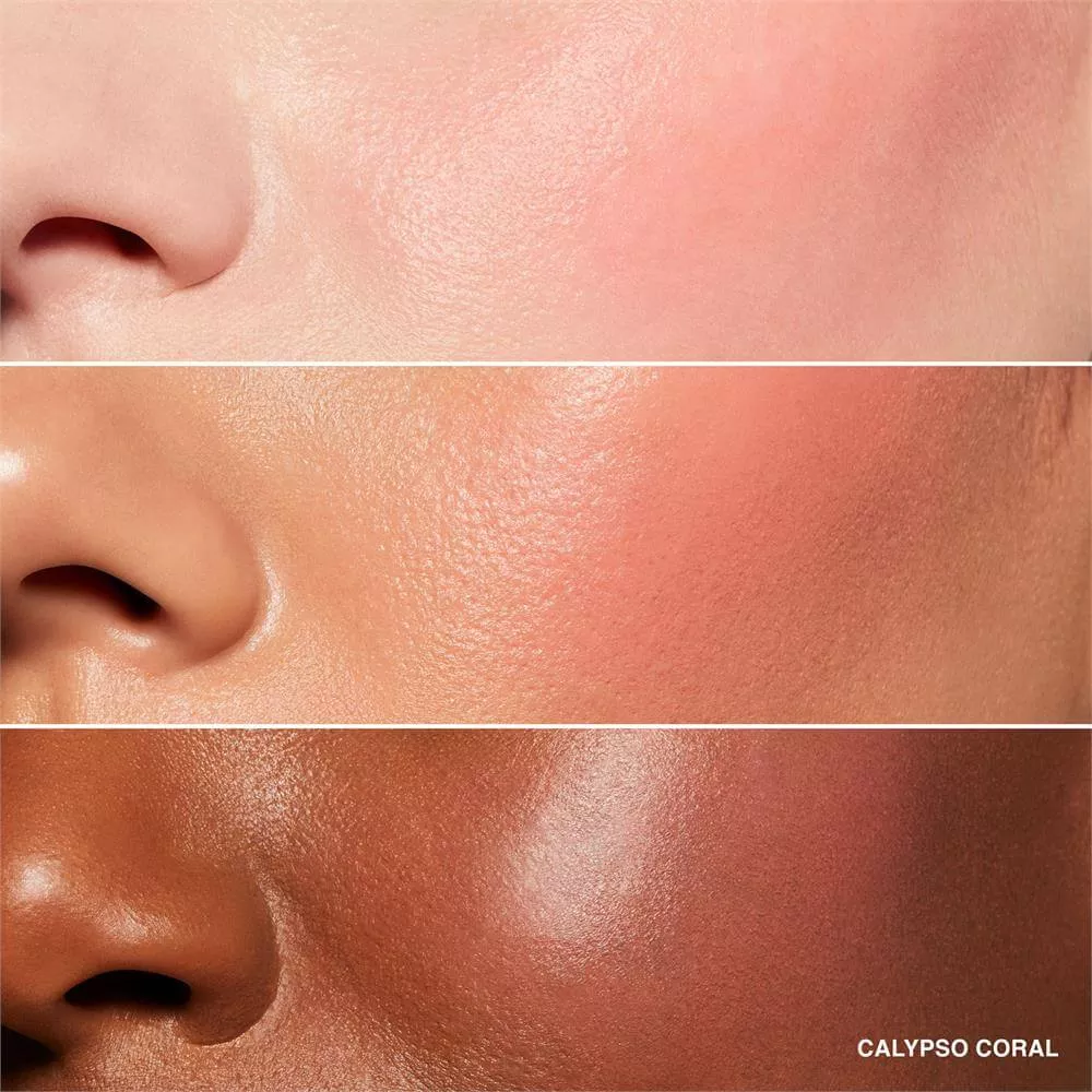 Bobbi Brown Pot Rouge for Lips & Cheeks